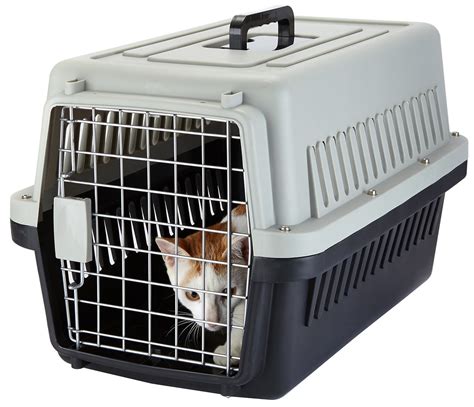 dog shipping crates airline approved